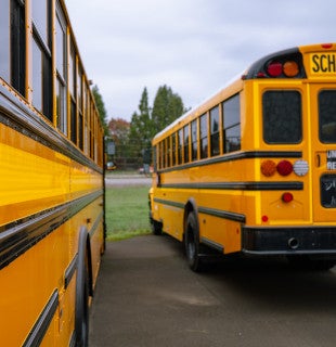 New School Buses