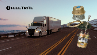 Fleetrite Brake Chamber