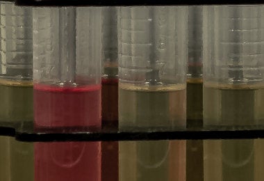 Oil testing